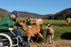 Bilder-sagen-mehr-als-Worte-60