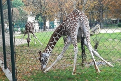 72096313_928373927540016_1984949265041981440_o