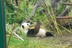 72198836_928374000873342_1593707409715494912_o